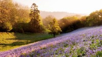 Gorgeous nature for desktop -    . Mega Pack 22