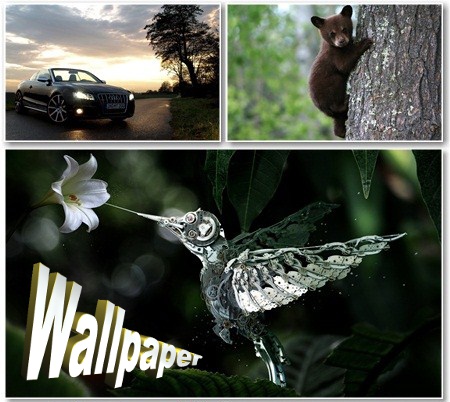 Selected Wallpapers for PC -     - Release 485