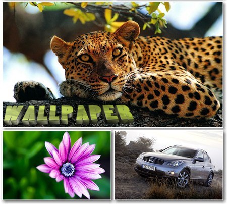 Excellent Wallpapers for desktop -     - Pack 486