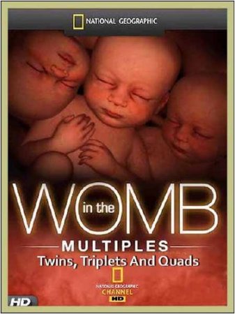   .  / In The Womb. Twins, Triplets And Quads (2009) HDTVRip