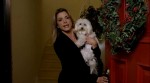 - / My Dog's Christmas Miracle (2011) DVDRip