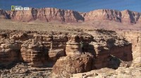  :   - / America the wild Grand Canyon Safari (2011) HDTVRip 