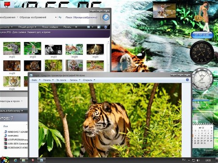 Windows 7  5option Tigr v.0.8.6 (64/Rus/2012)
