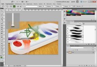   Adobe Photoshop CS5 ()