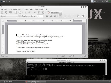 Bridge Linux 2012.8 (2012/ENG/i686/x86-64)