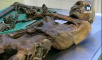  -   /  Otzi - an Archaeological Detective Story (2011) SATRip 