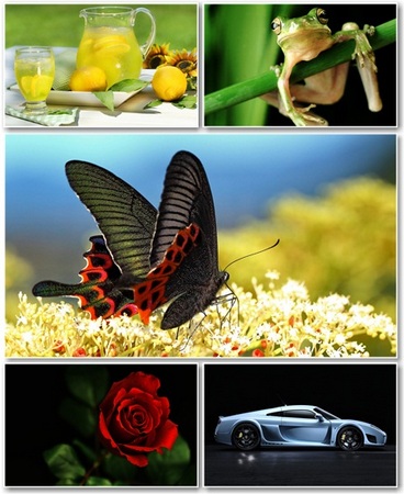 Best HD Wallpapers Pack 721