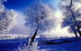 Winter. Wallpapers-5