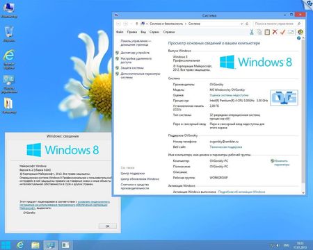 Windows  8 Professional VL Ru by OVGorskiy 01.2013 (RUS/x86)