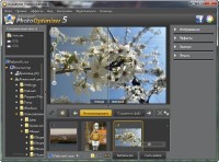 Ashampoo Photo Optimizer 5.3.0.14 build 0857 [/ ]