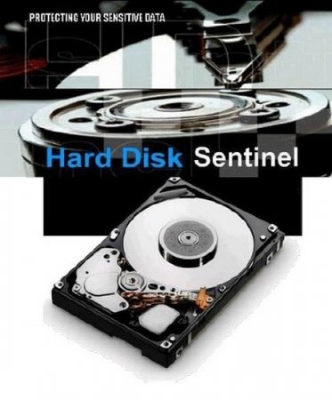 Hard Disk Sentinel Pro 4.20 Build 6014 (2013_ / )