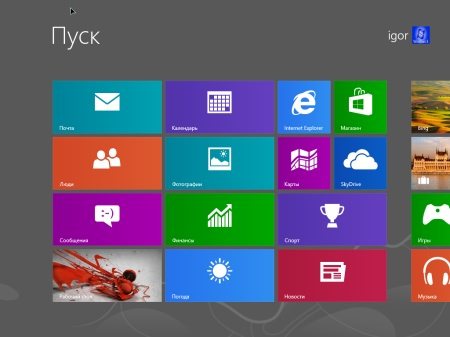 Windows 8 x86 Professional + Win8PE x86 v.8 by Zondey (2013/RUS)