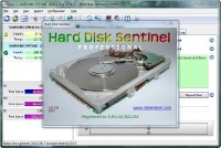 Hard Disk Sentinel Pro 4.30 Build 6017