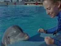   ? / Dolphins Deep Thinkers? (2003) TVRip