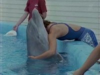   ? / Dolphins Deep Thinkers? (2003) TVRip