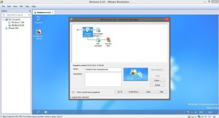 VMware Workstation 9.0.2 Build 1031769