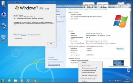 Windows 7 Ultimate SP1 64 by Loginvovchyk   (2013/RUS)