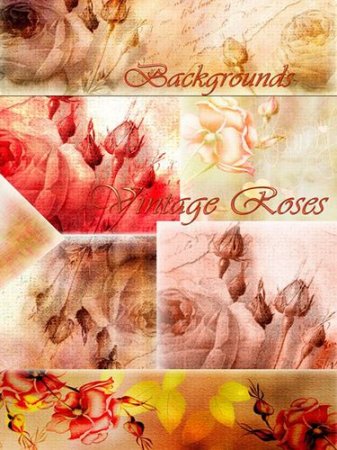 Vintage rose background