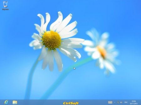 Microsoft Windows 8 RTM x86-x64 AIO Russian - CtrlSoft (2013/RUS)