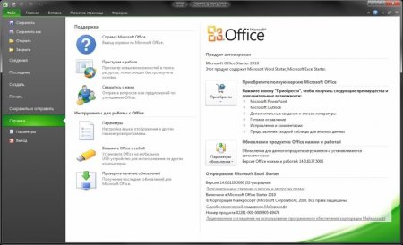 Microsoft Office Starter 14 14.0.4750.1000 x86 (2013/RUS)