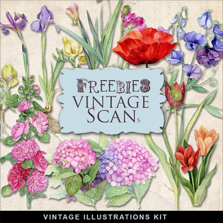 Scrap kit - Vintage Floral PNG Illustrations For Creative Design