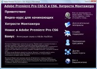 Adobe Premiere Pro CS5.5  CS6.  .  (2013)