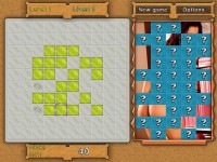 100 Puzzle Games FalcoWare (ENG/RUS/2013)