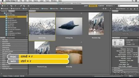 Photoshop CC - Essential Training / Photoshop CC -   (2013/Lynda com)