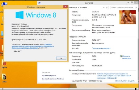 Windows 8.1 RTM 9600 Professional Final SURA SOFT (x86/2013/RUS)   