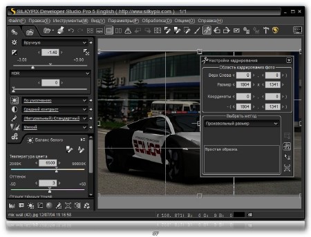 SILKYPIX Developer Studio Pro 5.0.47.0 Final + Rus