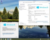 Windows 8.1 Professional Integrate October 2013 (x86/x64)