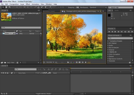 Adobe After Effects CC 12.1.0.168 Multilingual