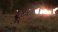 DayZ (2013/ENG/RUS/MULTI9/ALPHA)