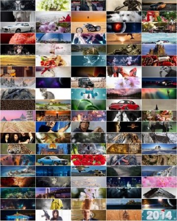 Best HD Wallpapers Pack 1115