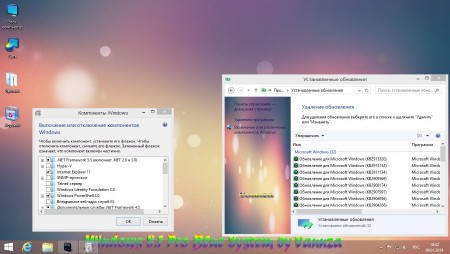 Windows 8.1 x86 Pro Blue System by Vannza (2014/RUS)