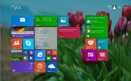 Windows 8.1 Pro VL 6.3.9600.16610.WINBLUES14.140214 FULL (x86/x64/2014/RUS)