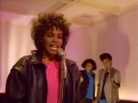 Whitney Houston -    (DVDRip)