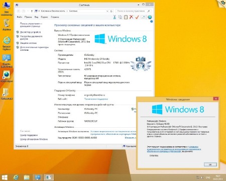 Windows 8.1 Professional by OVGorskiy 03.2014 (x86/x64/RUS/2014)