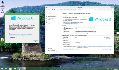 Windows 8.1 Professional x64 Update & Office 2013 BeaStyle v.1.9 (2014/RUS)