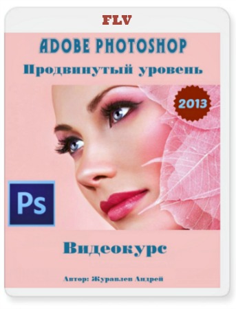 Adobe Photoshop.   (2013) 