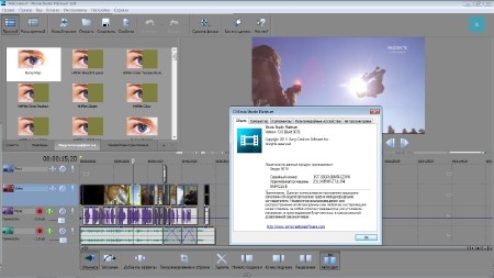 SONY Movie Studio Platinum / Suite 13.0 Build 931/932 (x86/x64/ML/RUS)