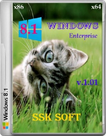 Windows 8.1 Enterprise SSK Soft x86/x64 v.1.01 (2014/RUS)