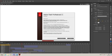 Adobe Flash Professional CC 2014 14.0.0.110 (ML/RUS)