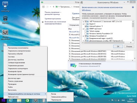 Windows 8.1 Professional with update by EmiN 19.08.2014 (x64/RUS)