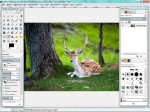 GIMP 2.8.14 Rus Final ML/Rus + Portable