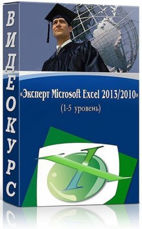 :  Microsoft Excel 2013/2010