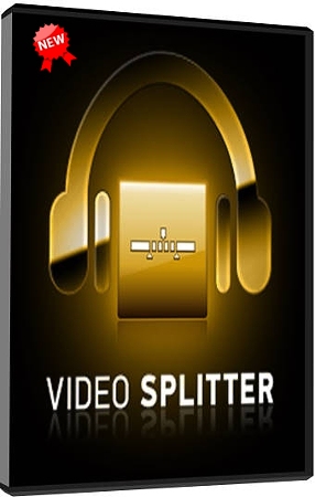 SolveigMM Video Splitter 5.0.1505.19 Business Edition Final + Portable (2015 / Rus / ML)