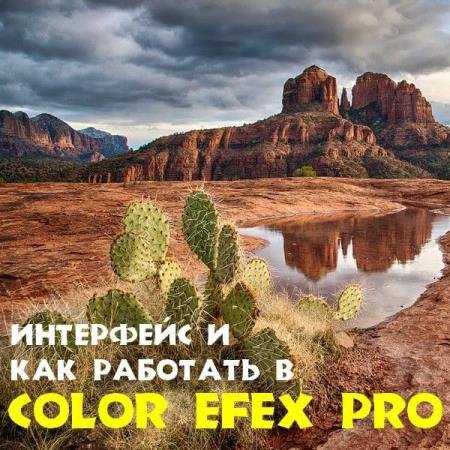      Color Efex Pro (2018) PCRec