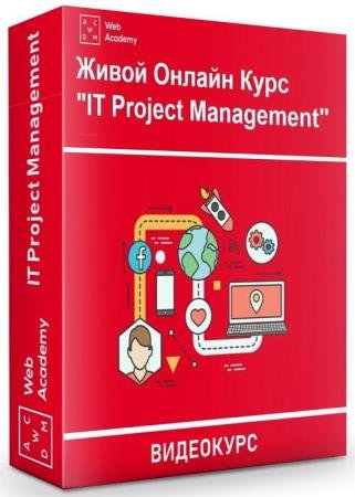 IT Project Management (2020) 