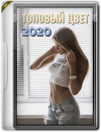   (2020) HDRip